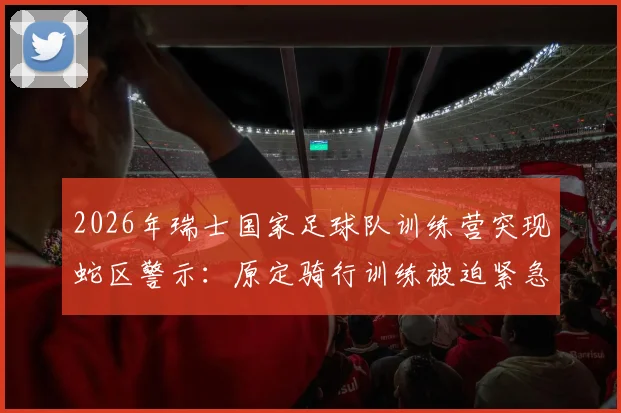 2026年瑞士国家足球队训练营突现蛇区警示：原定骑行训练被迫紧急取消，队员安全如何保障？